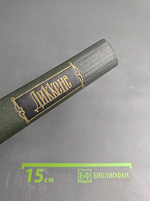 Жизнь Дэвида Копперфилда, рассказанная им самим (Том Шестнадцатый)