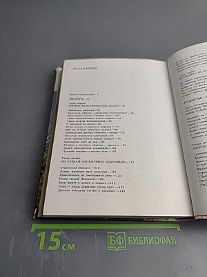 Кенийские сафари