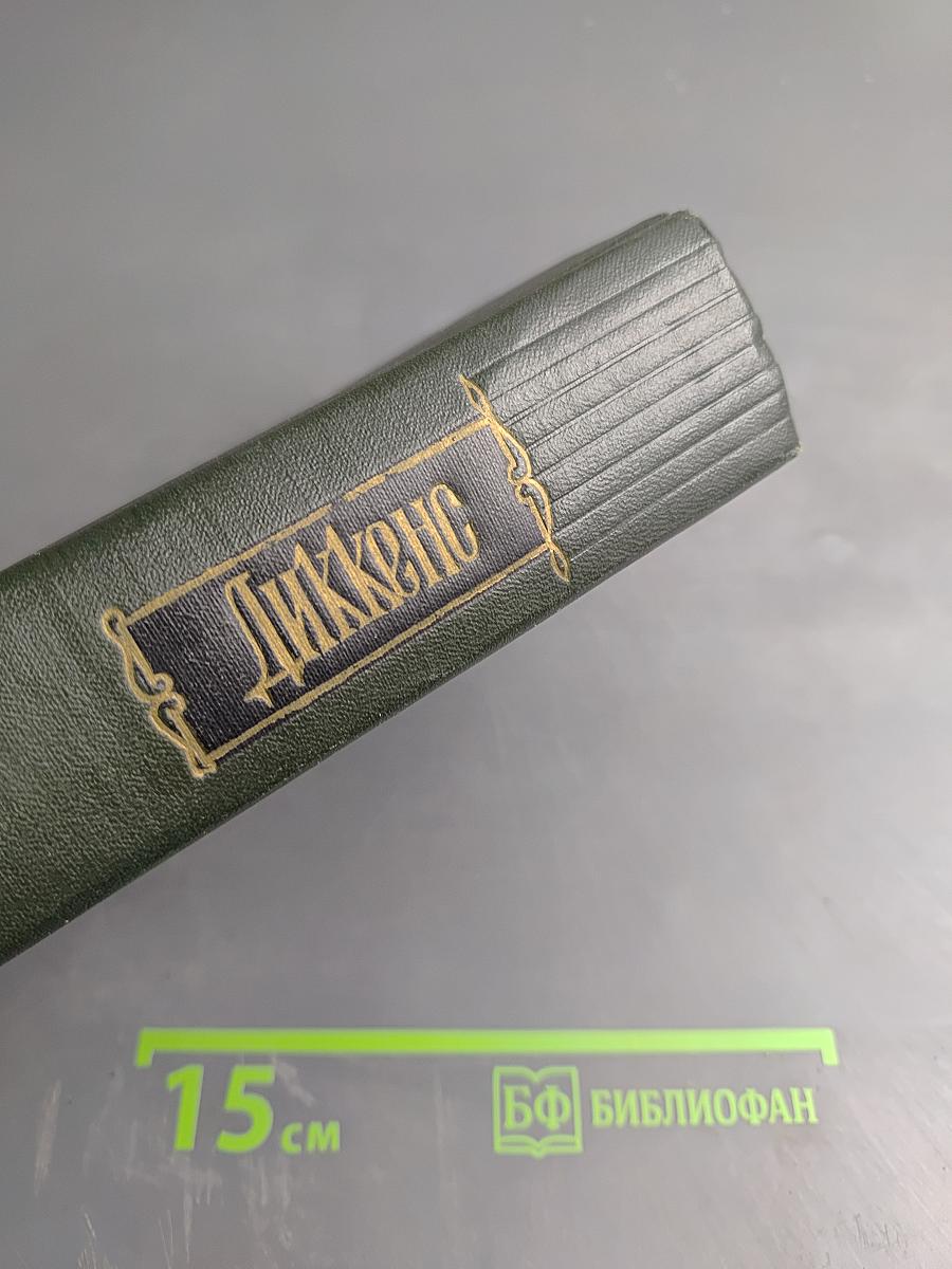 Собрание сочинений. Том Первый. Очерки Боза. Мадфогские записки