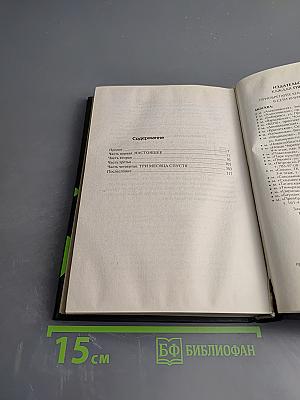 Убийца по прозвищу Англичанин