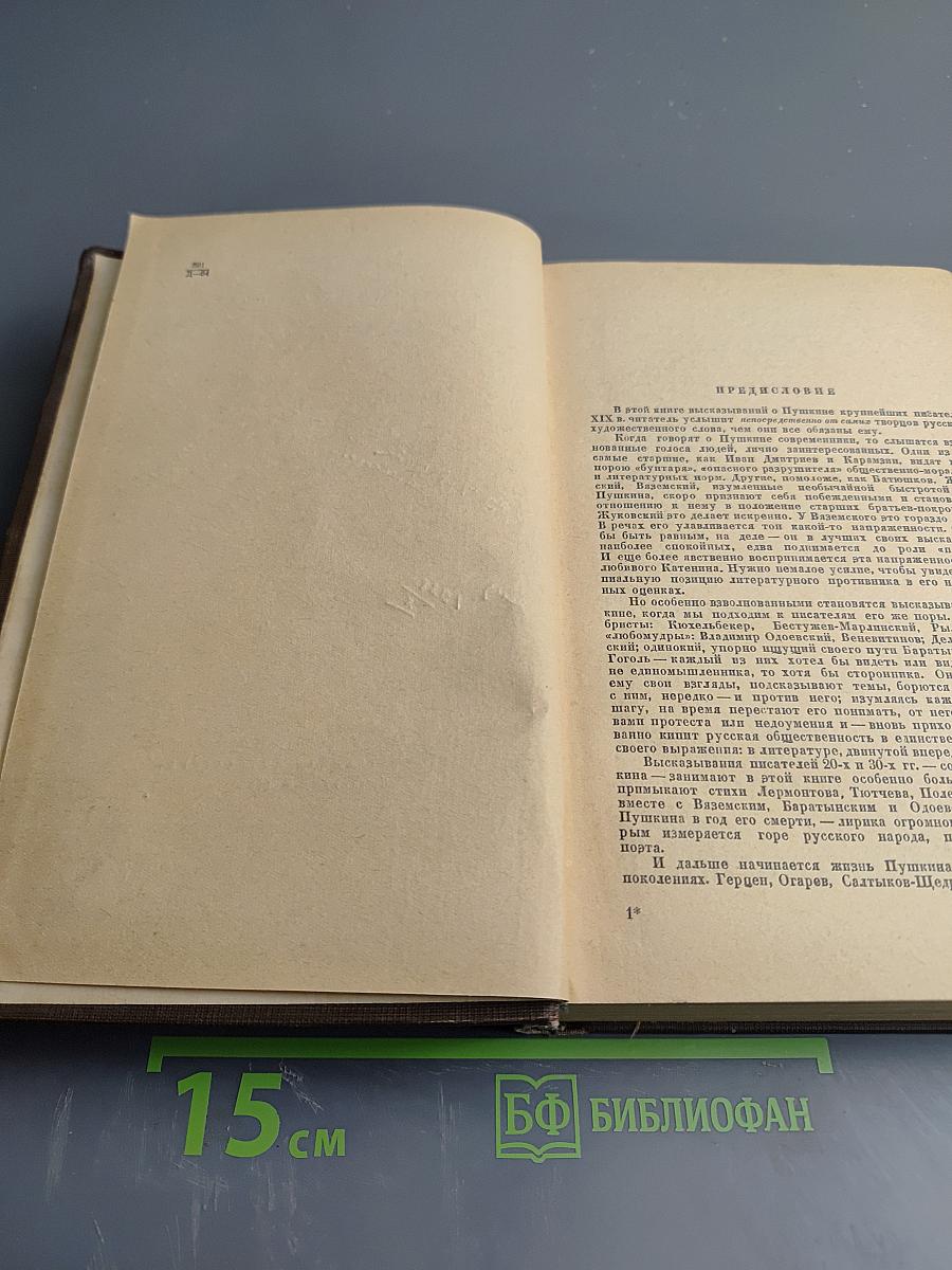 Русские писатели XIX века: О Пушкине