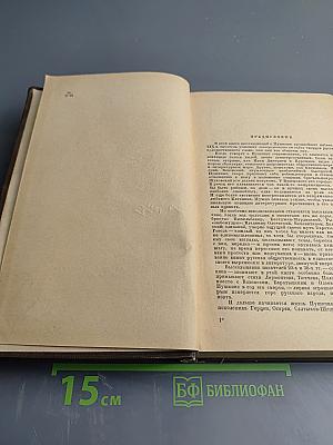 Русские писатели XIX века: О Пушкине