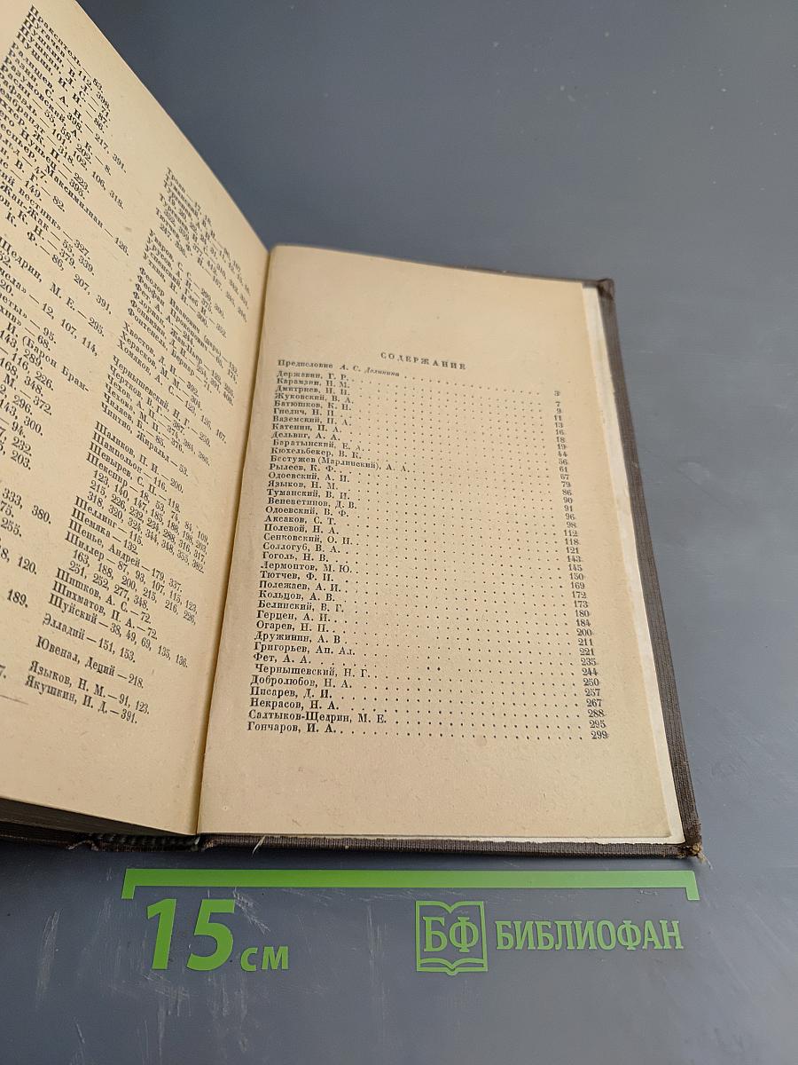 Русские писатели XIX века: О Пушкине