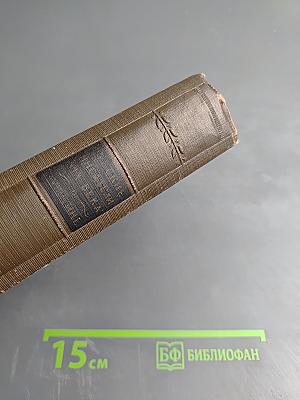 Русские писатели XIX века: О Пушкине