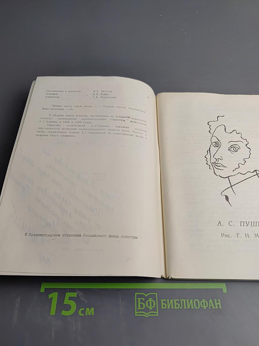 Внимая звуку струн твоих... Выпуск 2