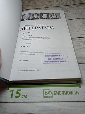 Литература. 8 класс. Часть 1