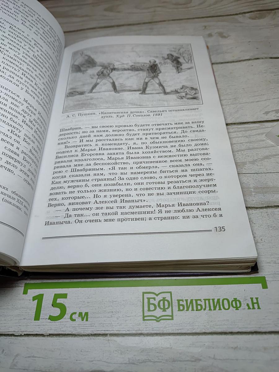 Литература. 8 класс. Часть 1