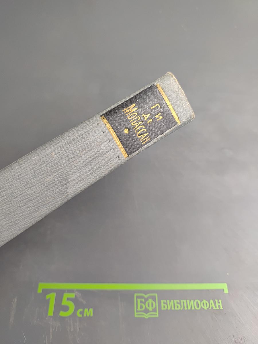 Полное собрание сочинений. Том 12. Письма