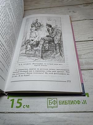 Литература 8 класс, Часть 2