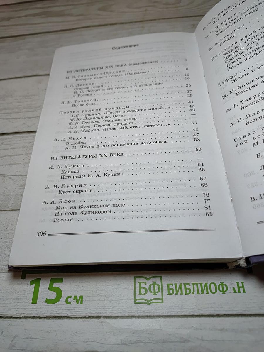 Литература 8 класс, Часть 2