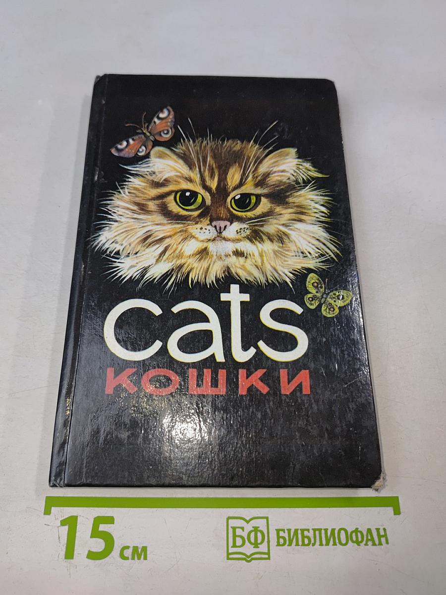 Cats кошки