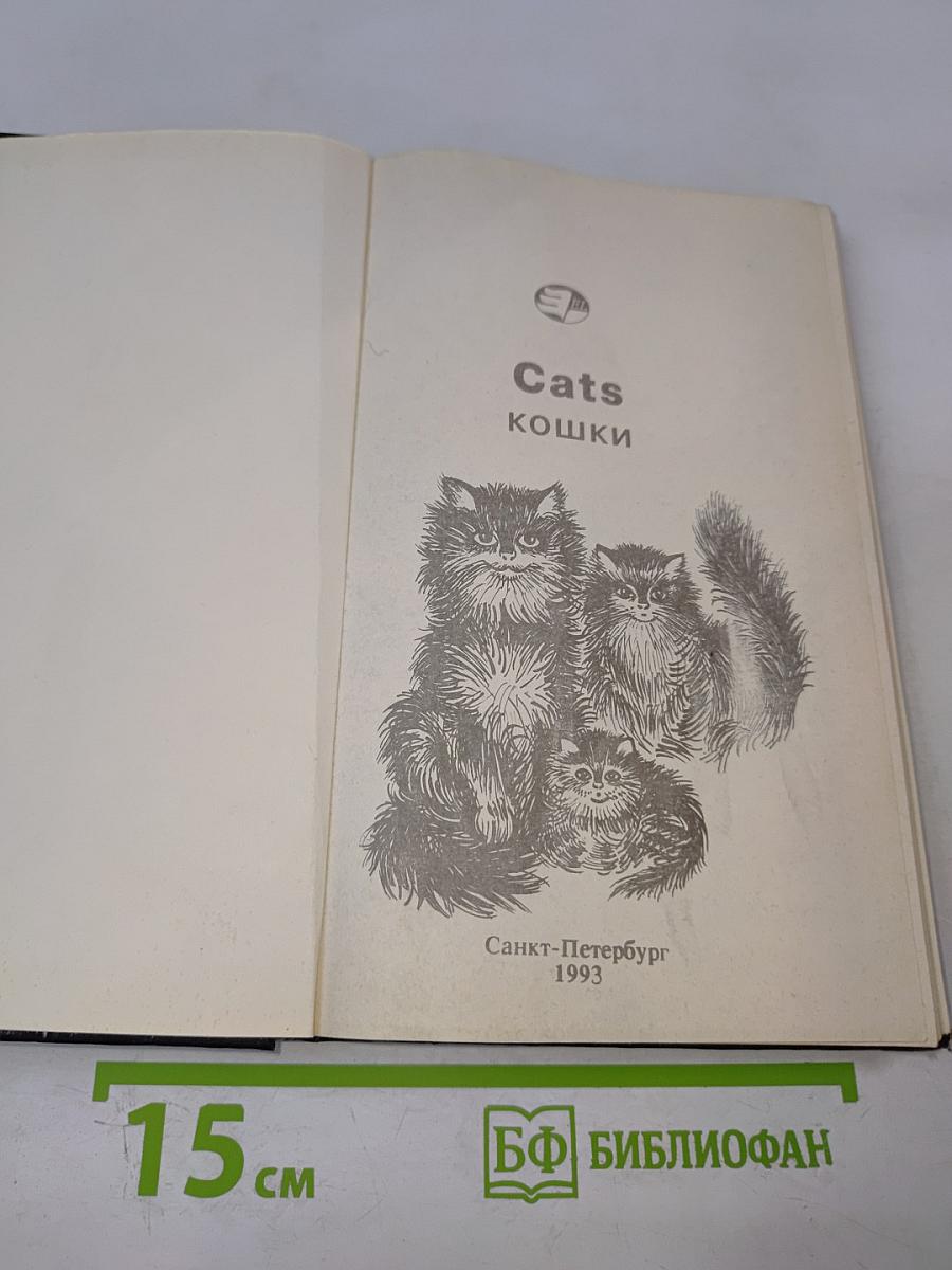 Cats кошки
