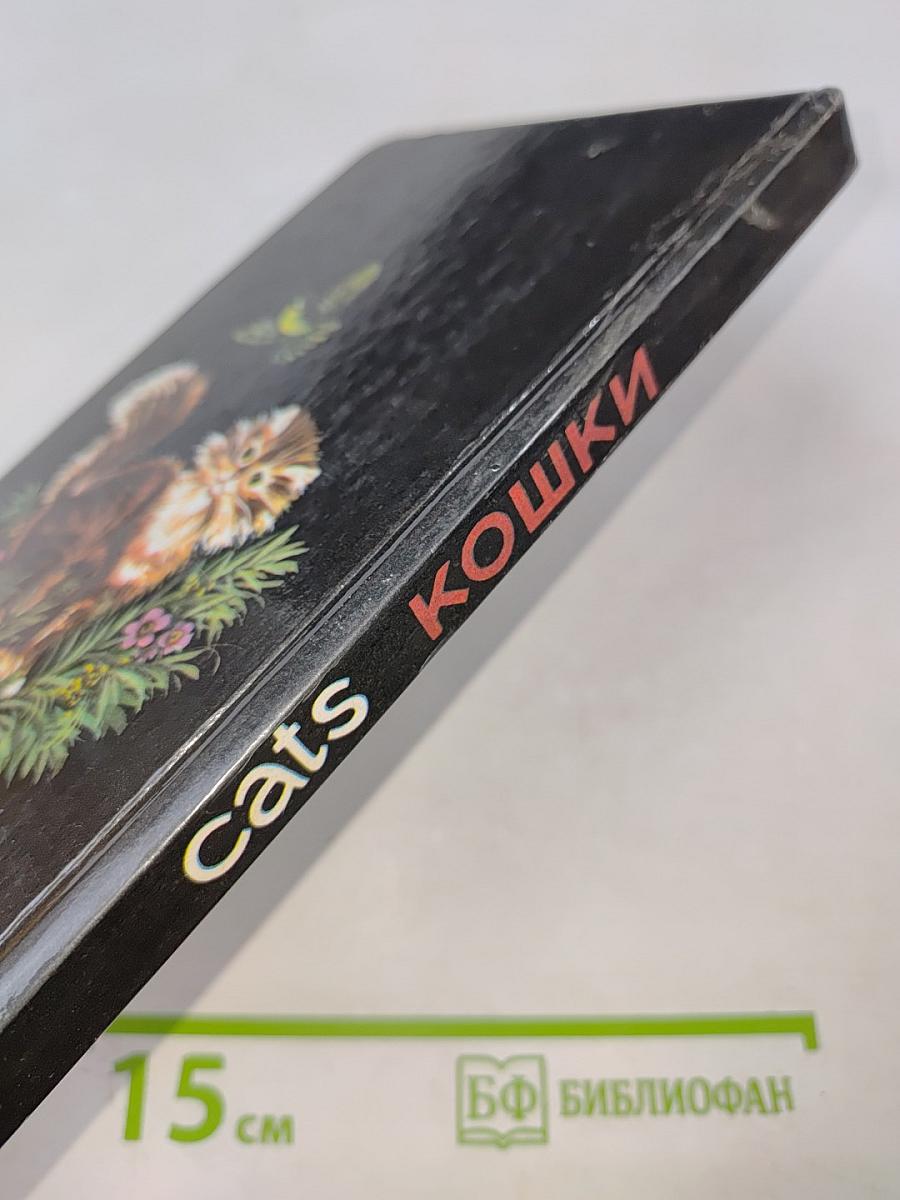 Cats кошки
