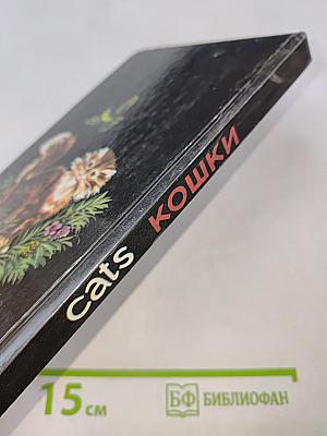 Cats кошки