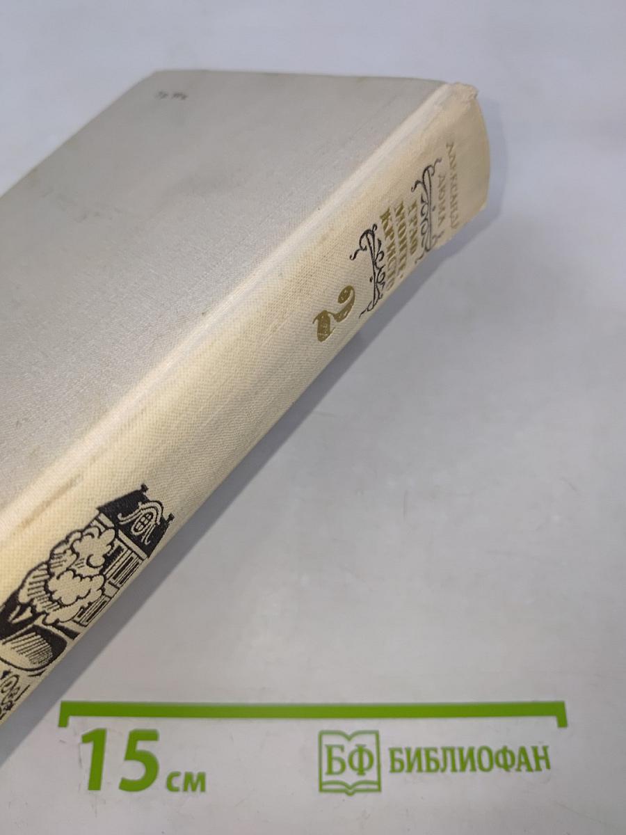 Граф Монте-Кристо Том 2