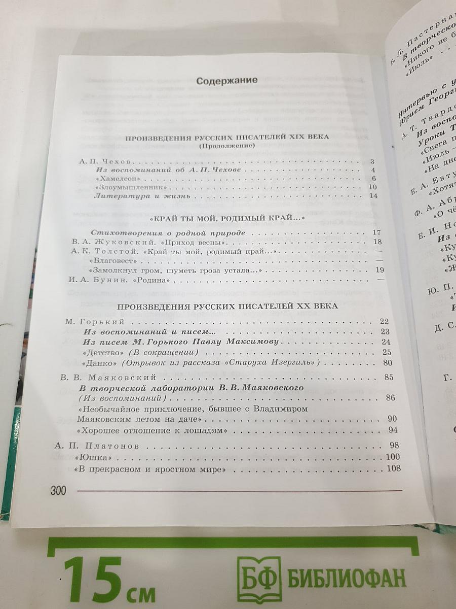 Литература. 7 класс. Часть 2