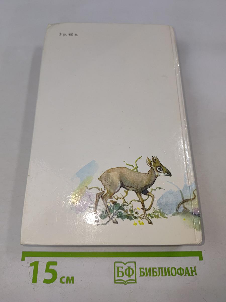 Под пологом пьяного леса