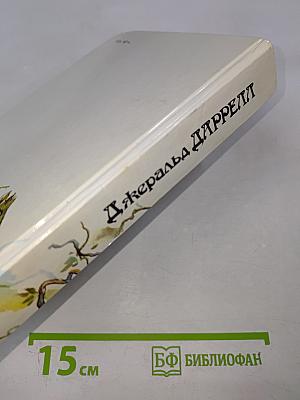 Под пологом пьяного леса