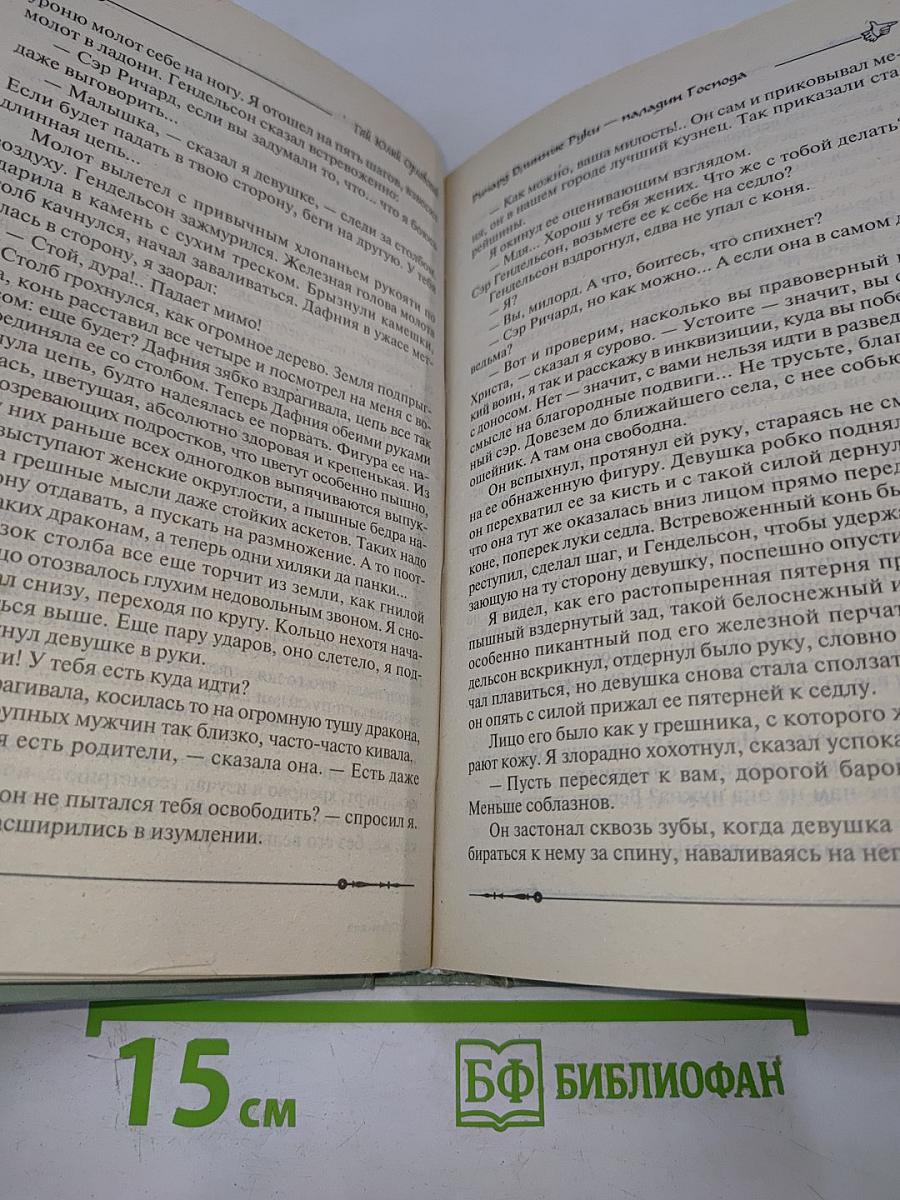 Ричард Длинные Руки - паладин Господа