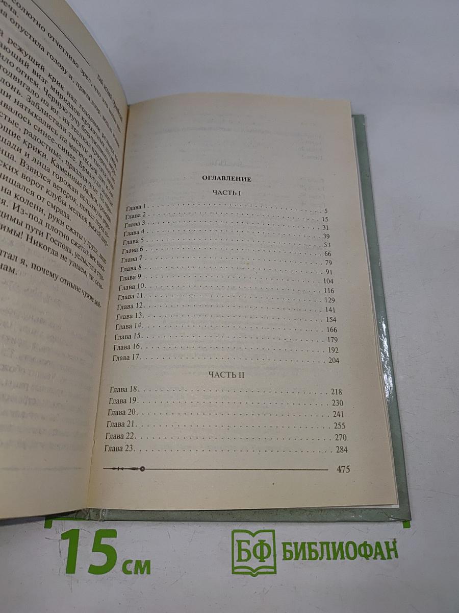 Ричард Длинные Руки - паладин Господа