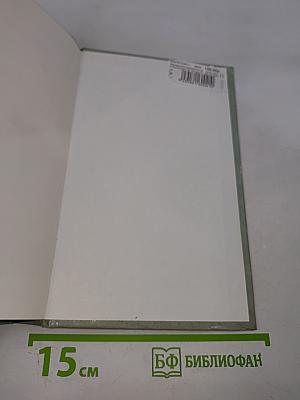 Ричард Длинные Руки - паладин Господа
