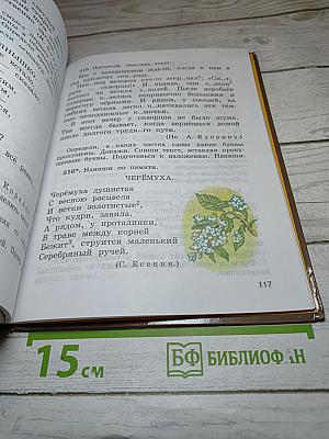 Русский язык. 4 класс. Часть вторая
