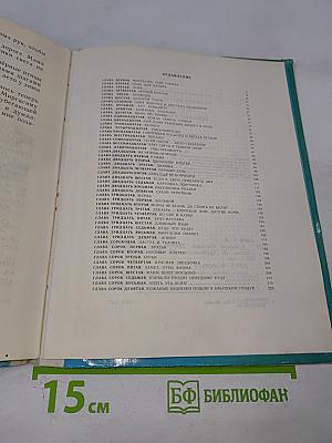 Кожаные башмаки