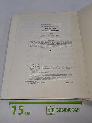 Кожаные башмаки