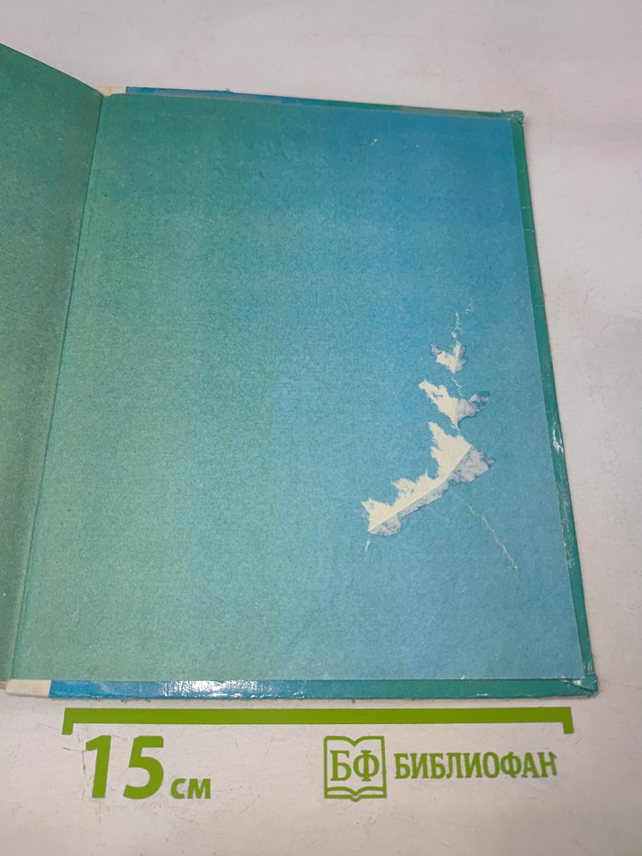 Кожаные башмаки