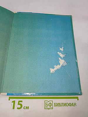 Кожаные башмаки