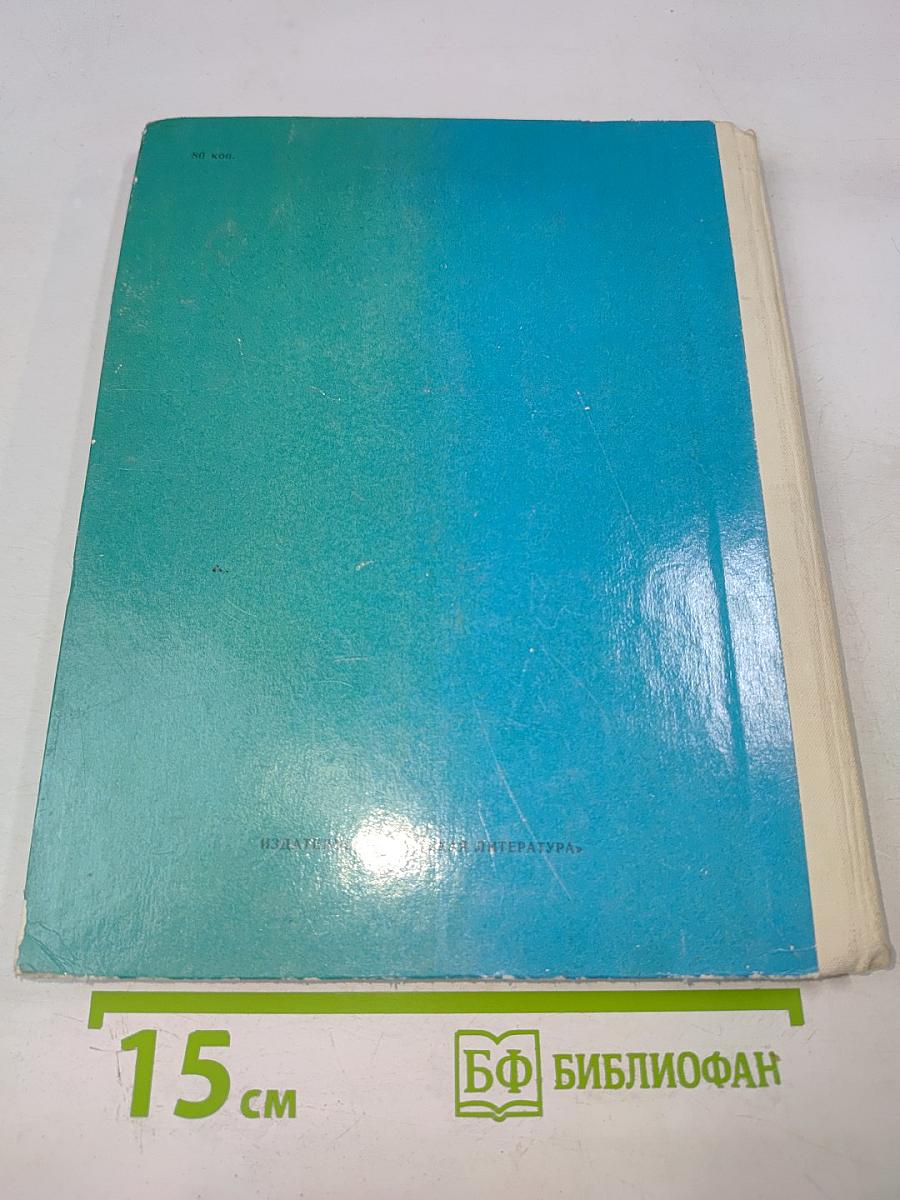 Кожаные башмаки