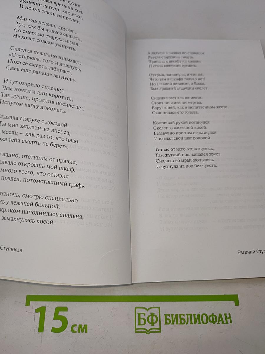 Поэт года 2014. Книга двадцать пятая