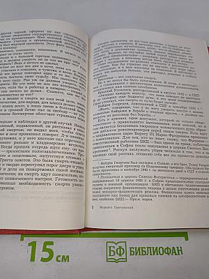 За тюремной решеткой