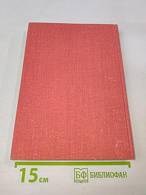 За тюремной решеткой