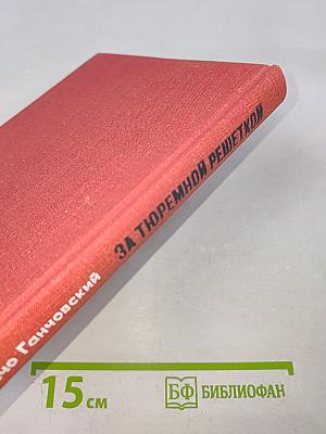 За тюремной решеткой