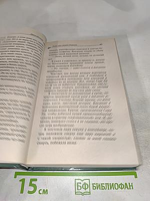 Полет над гнездом Индюшки