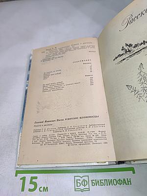 Усвятские шлемоносцы