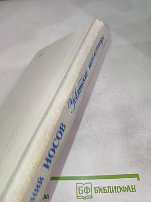 Усвятские шлемоносцы