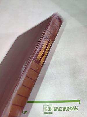 Собрание сочинений. Том второй: Рожденные бурей. Статьи и речи