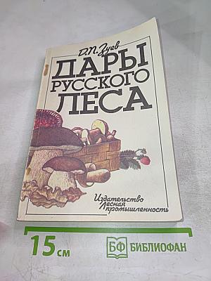 Дары русского леса