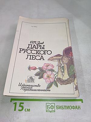 Дары русского леса