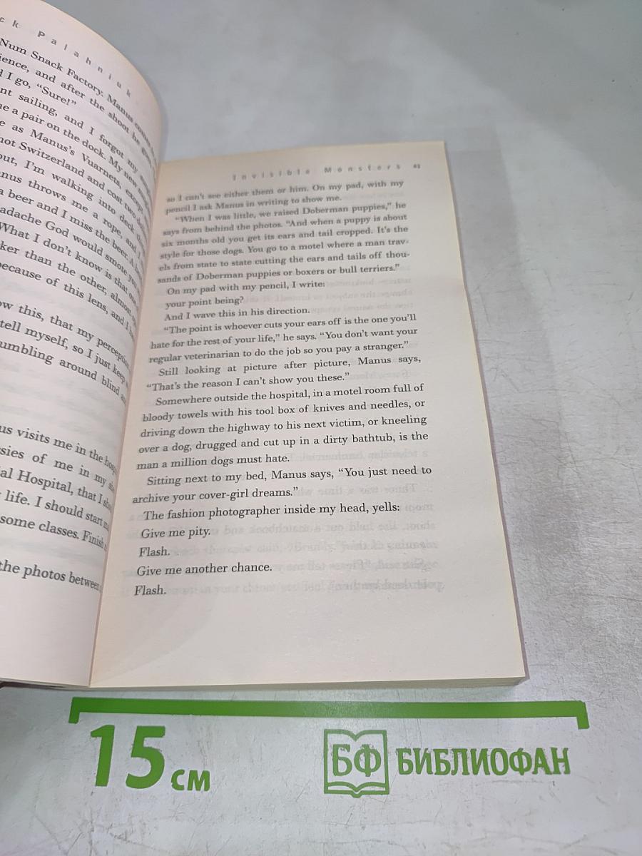 Invisible Monsters