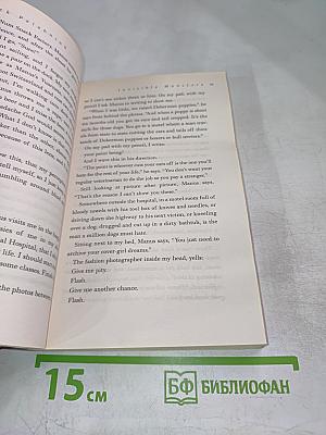 Invisible Monsters