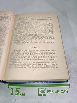Гамаюн - птица вещая. Остров Надежды
