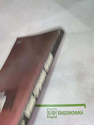 Агония Сердечного Согласия. Царизм, буржуазия и их союзники по Антанте 1914-1917