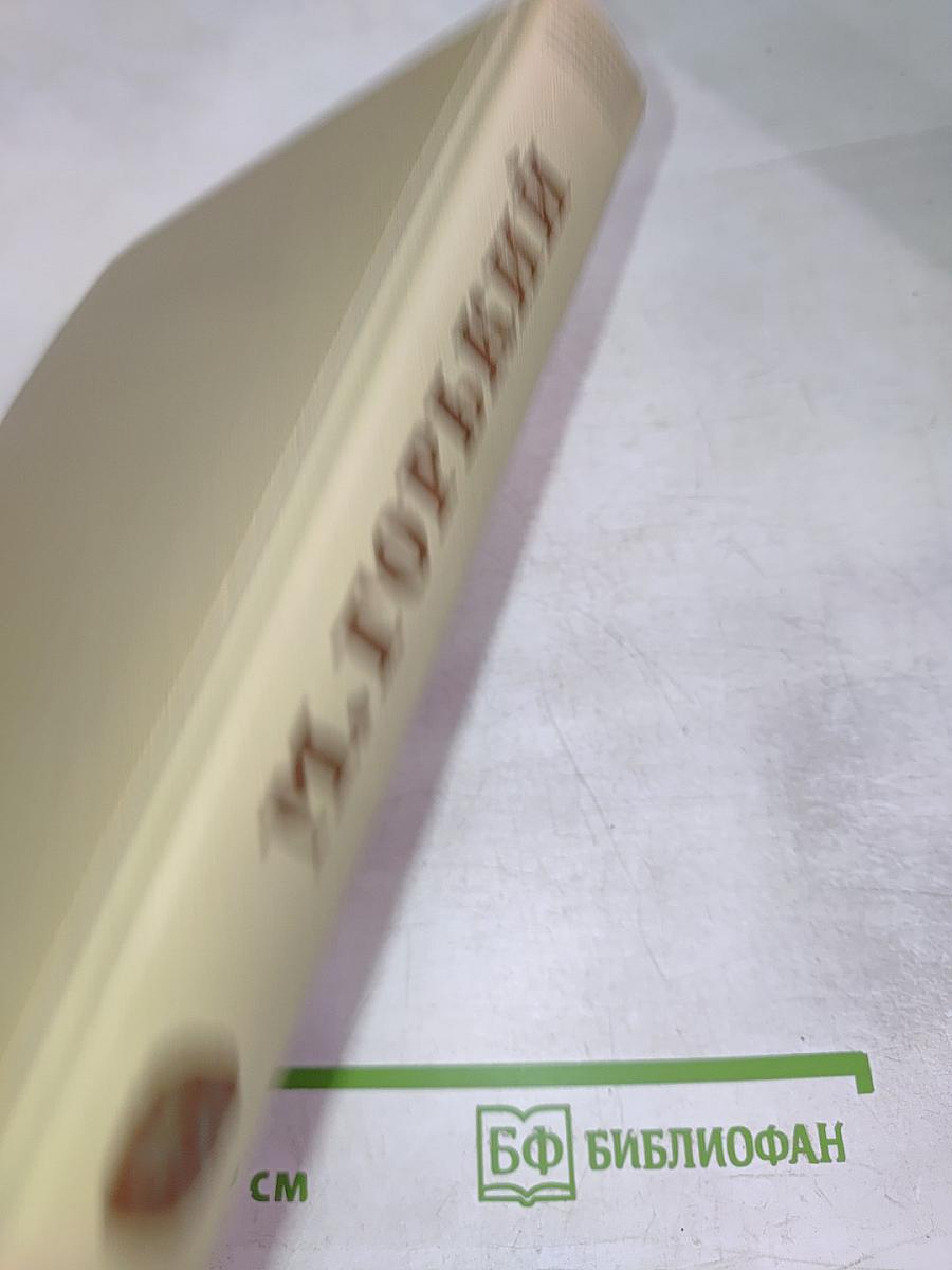 Жизнь Клима Самгина. Том 13