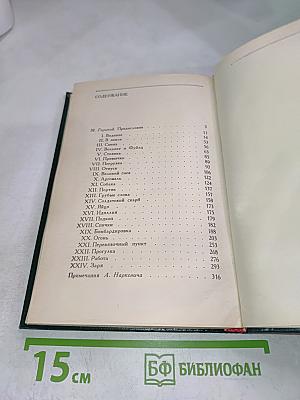 Огонь (Дневник взвода)