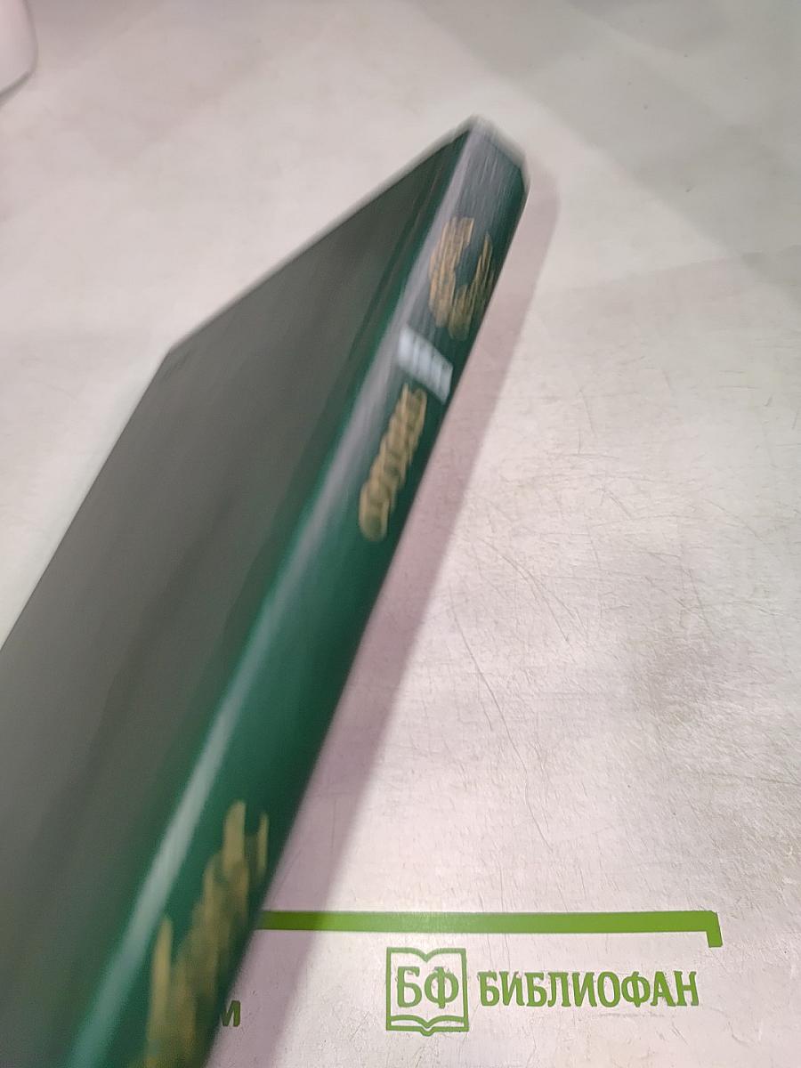 Огонь (Дневник взвода)