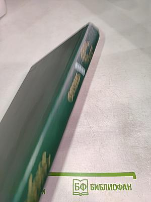 Огонь (Дневник взвода)