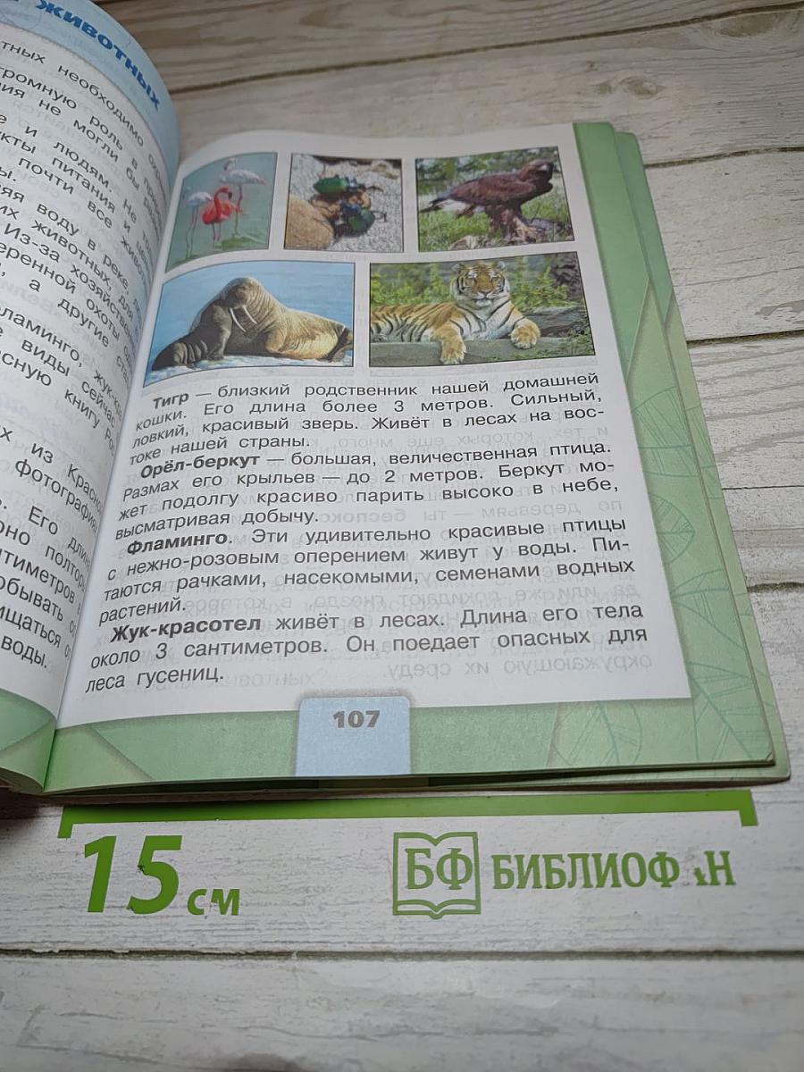 Окружающий мир 3 класс. Часть 1